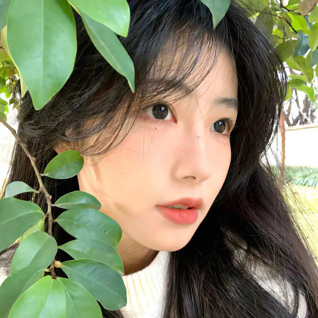 面纱之下